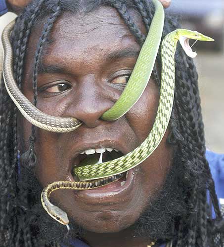 SERPENTE.jpg