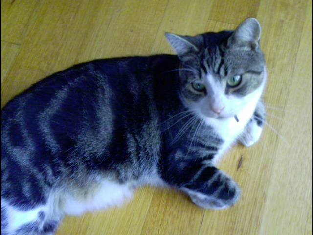 DSC00011.jpg